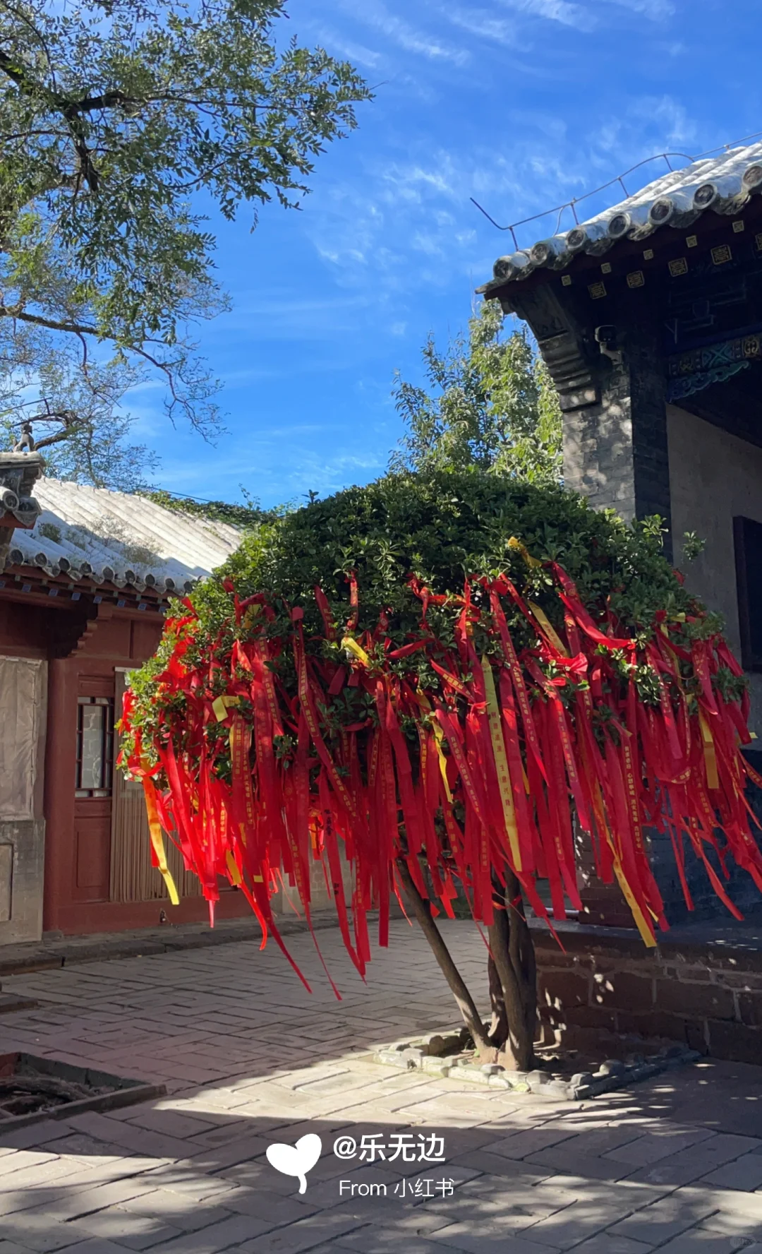 该怎么向你形容蓬莱阁的美❓