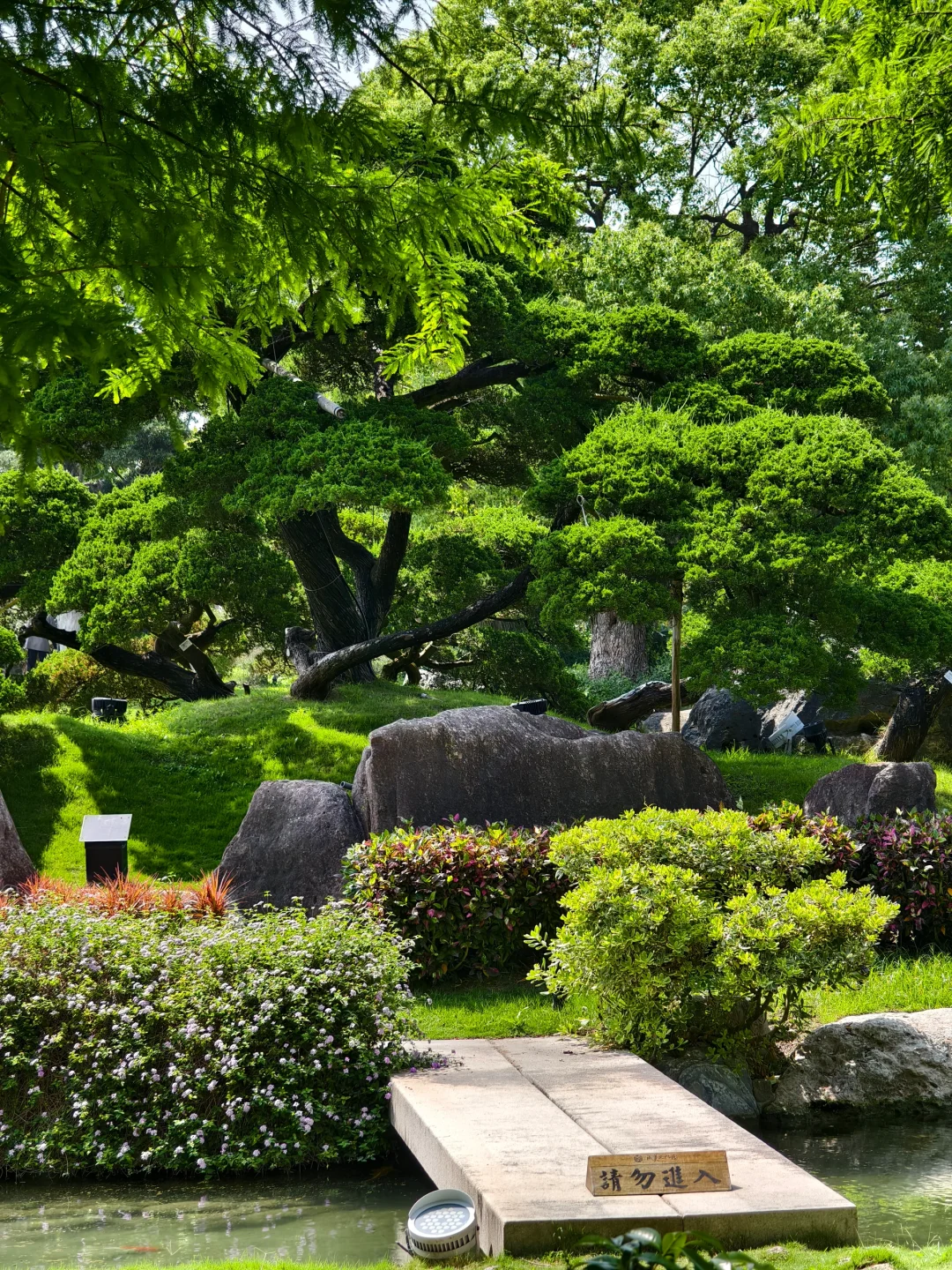 企鵝花絮 - 成美文化園B CUT