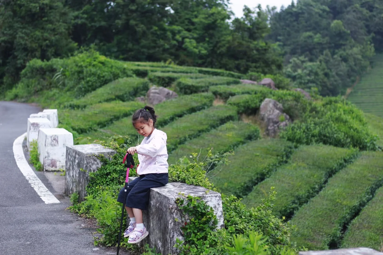 🍃宁波周末亲子徒步🌿第一站 福泉茶山