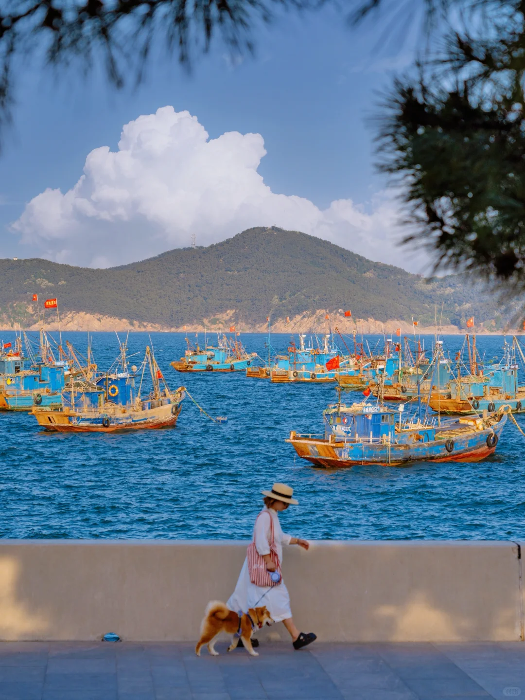 为了这1️⃣8️⃣张人生照，我特意去了趟威海🌊