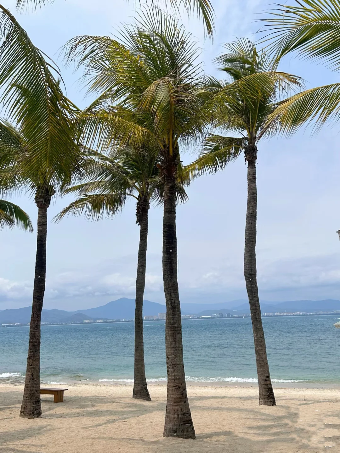 反向旅行🏝五月的三亚真的是人间理想吧。。。