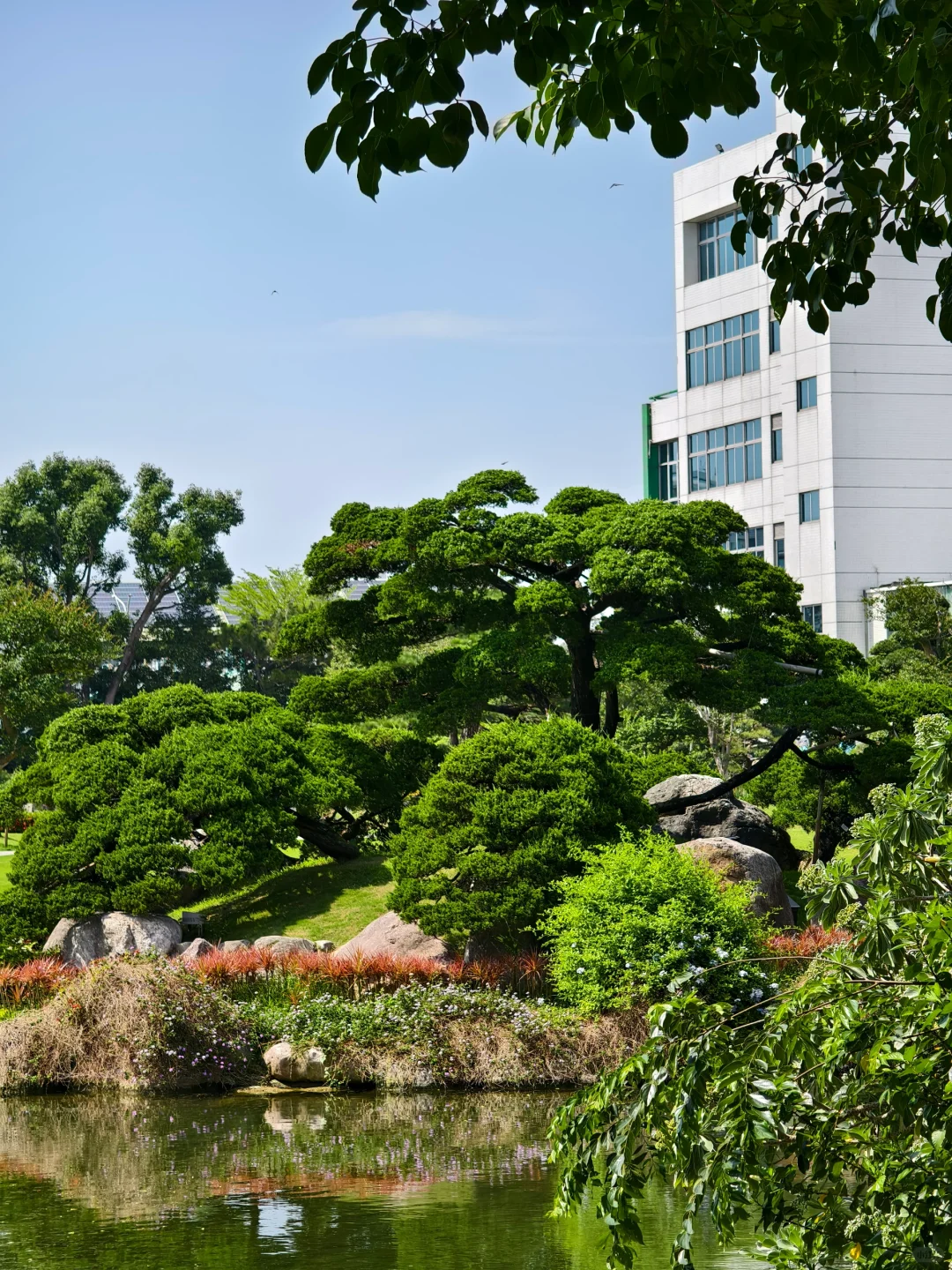 企鵝花絮 - 成美文化園B CUT