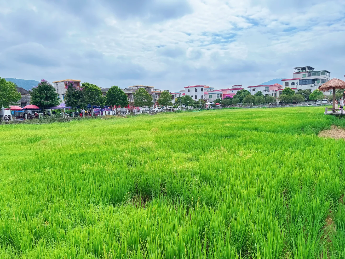 中山曹边村🏡