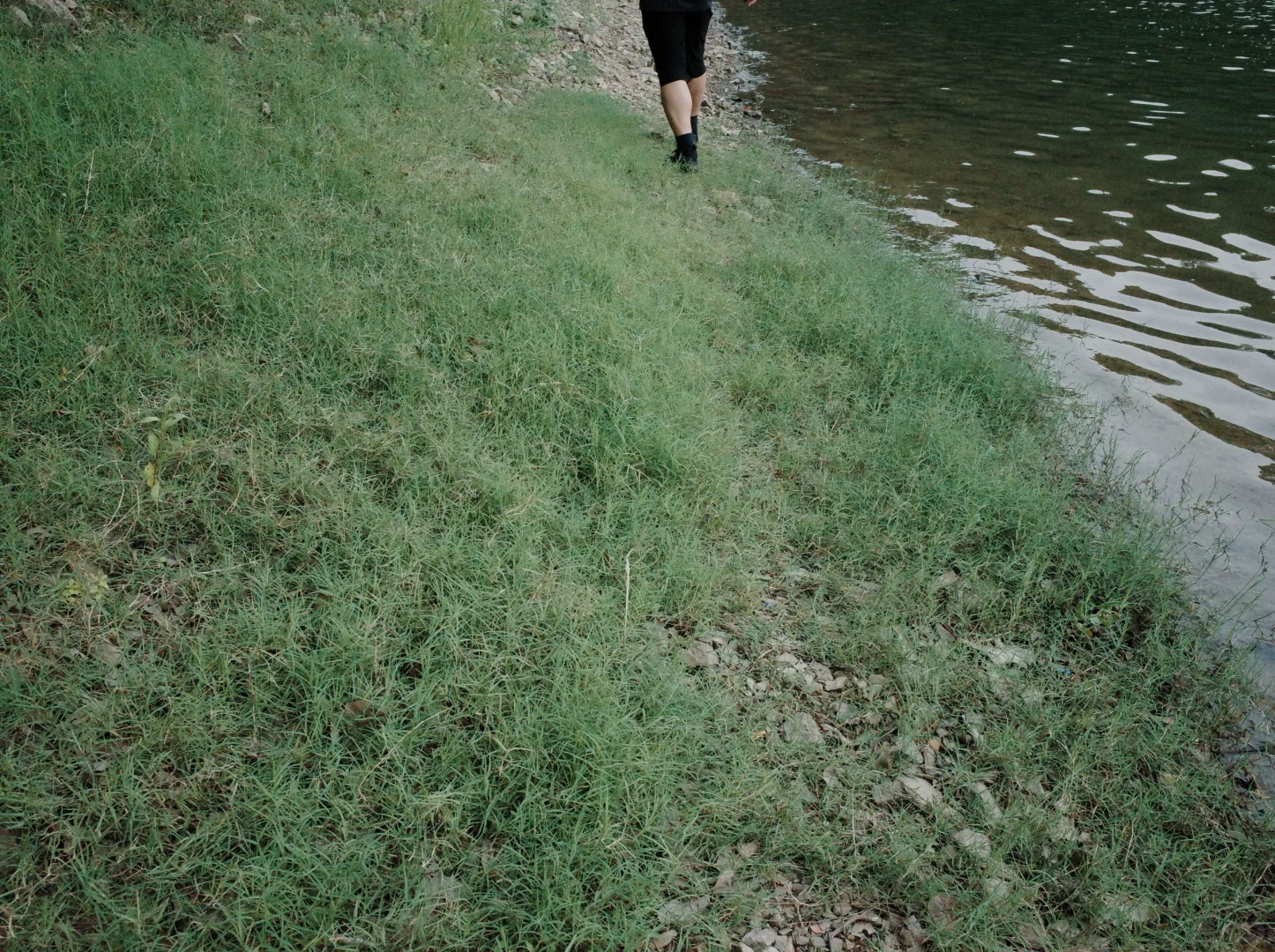 南京最喜欢的地方（之一