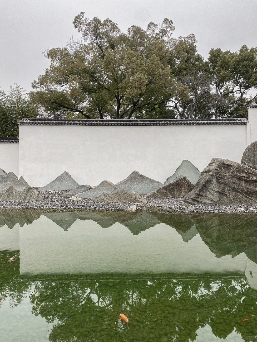 对我的端午节苏州攻略满意到睡不着觉……