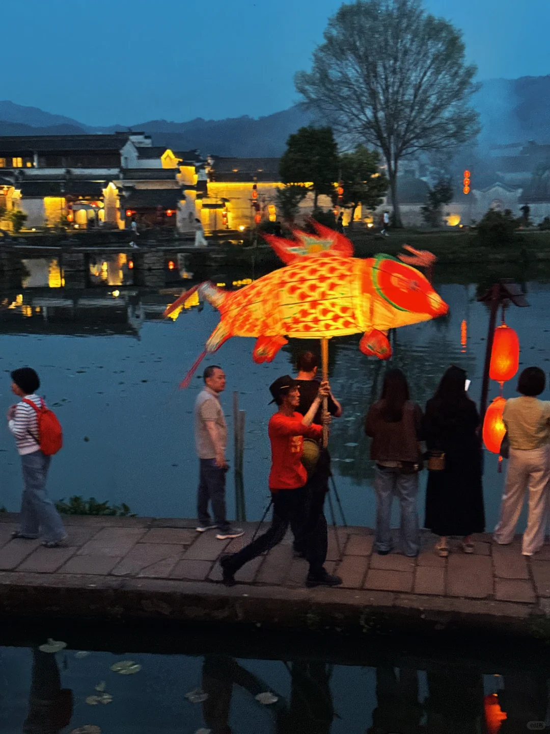 太震撼了！我拍到了辛弃疾词中“一夜鱼龙舞”…