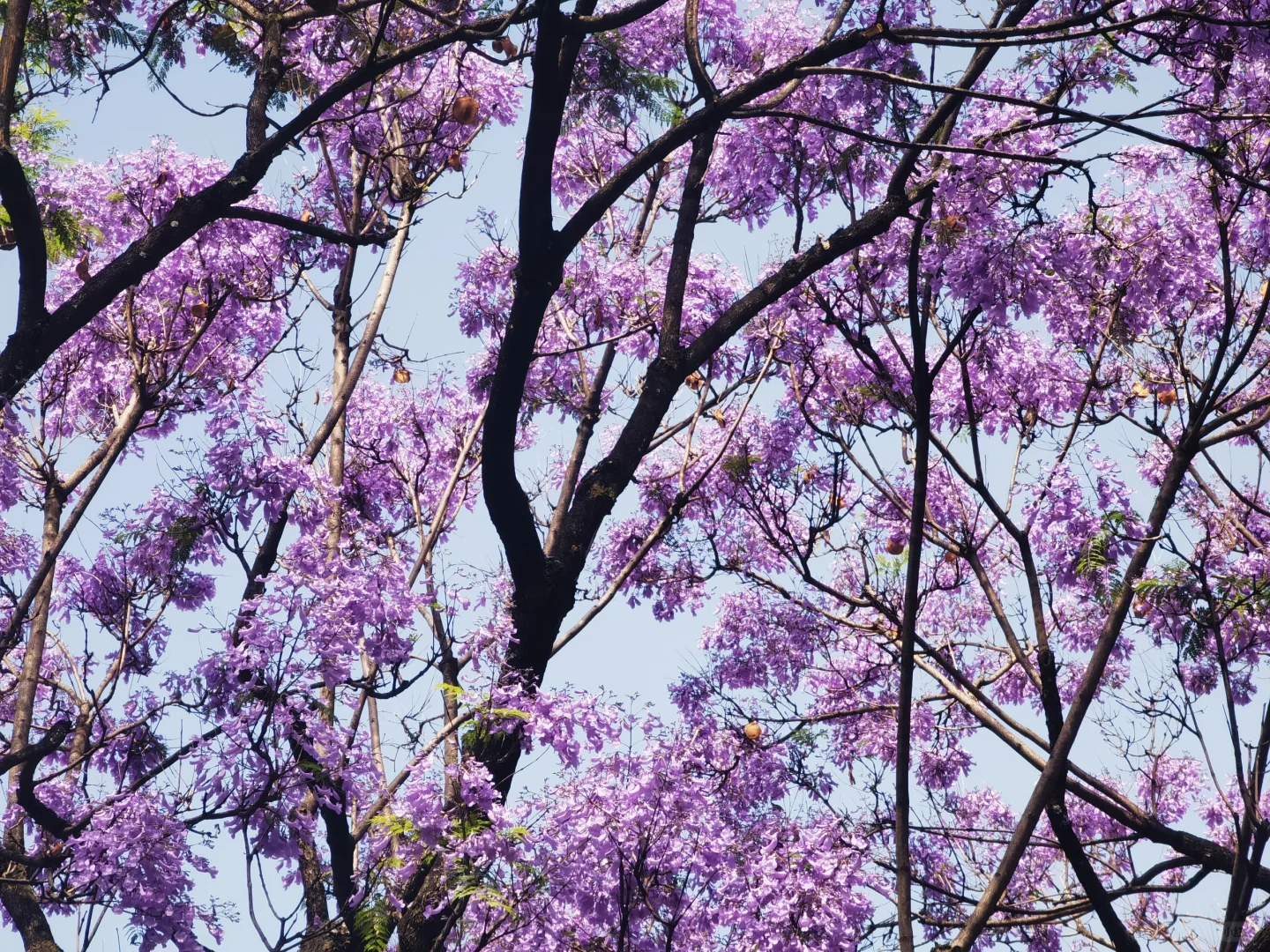 旅游攻略分享——昆明