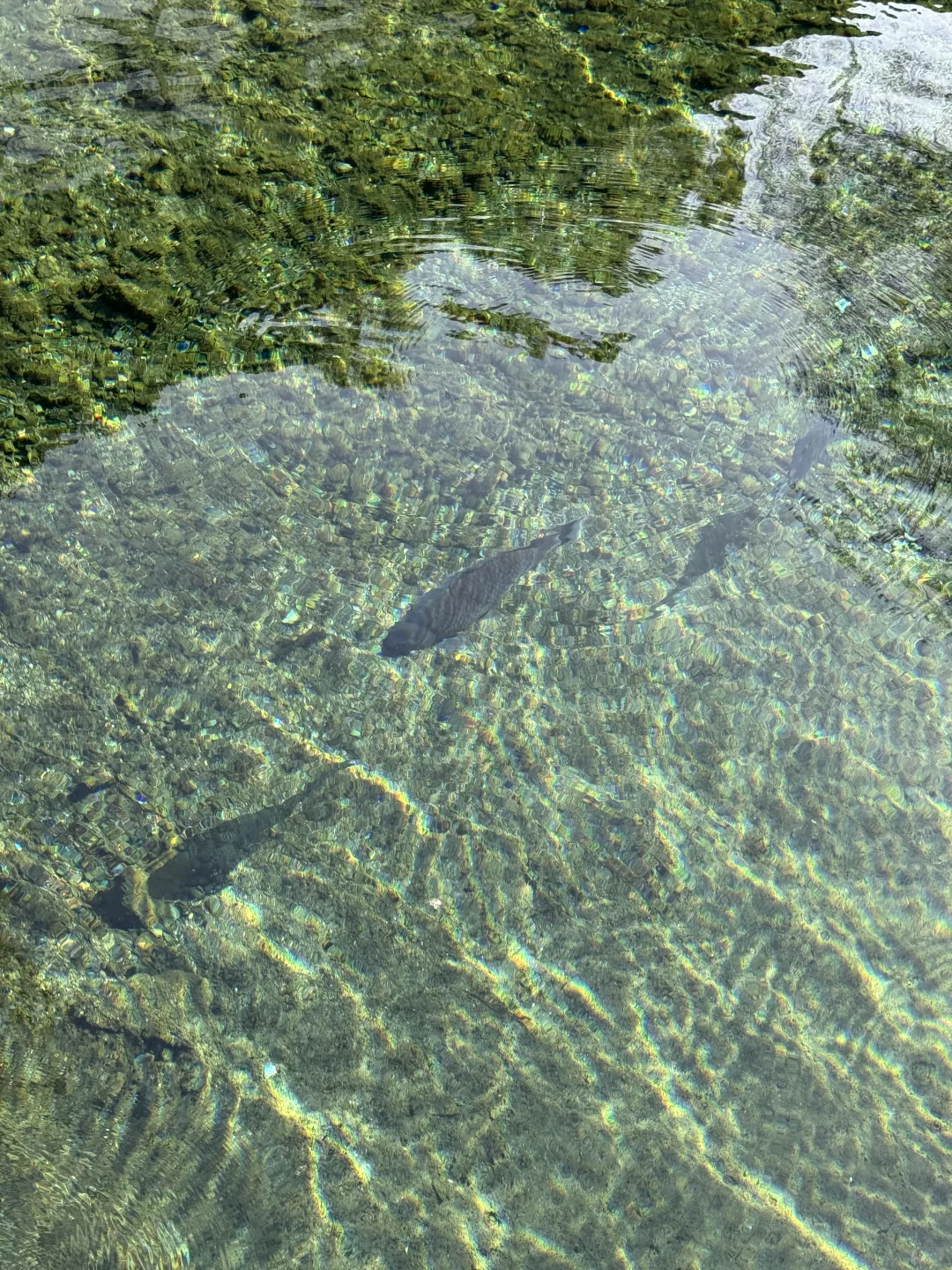 📍济南citywalk｜2天1晚保姆级攻略🌊附路线