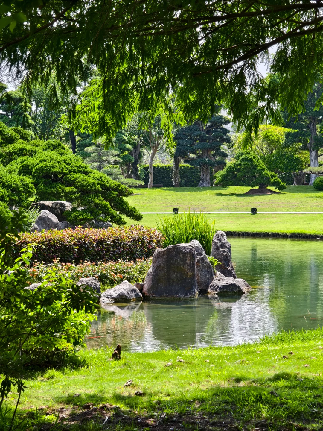 企鵝花絮 - 成美文化園B CUT