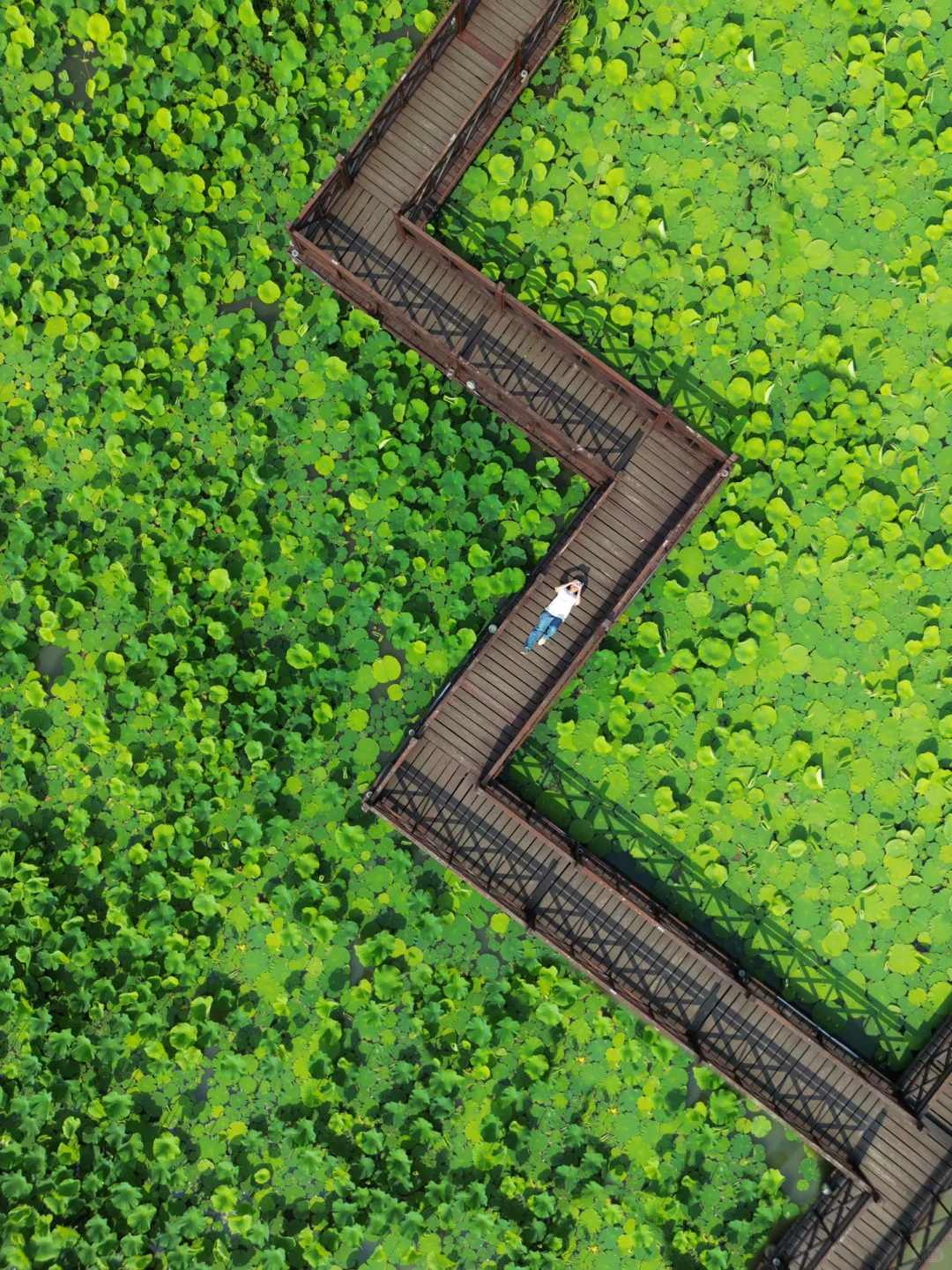 吐血整理❗常熟48h游玩保姆级攻略请收下❗