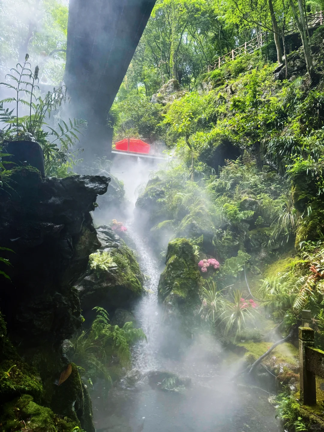 🌿杭州灵山·仙桥洞｜闯进现实版“绿野仙踪”！
