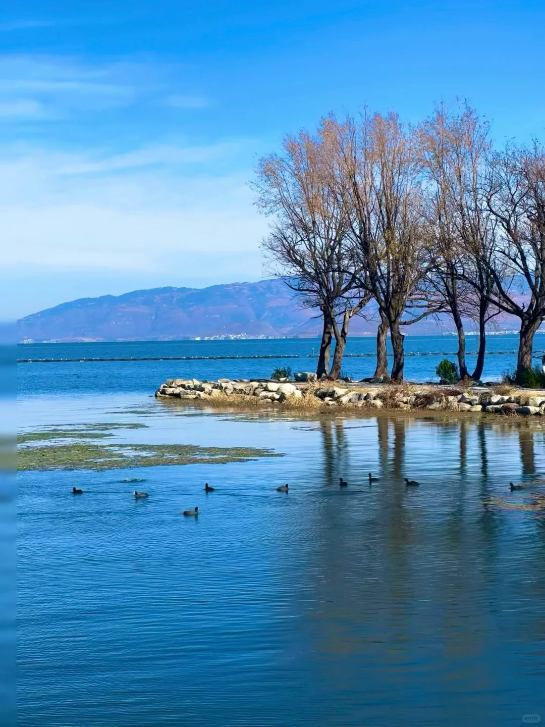 大理已回❗️真心提醒5~6月要去的姐妹们😓