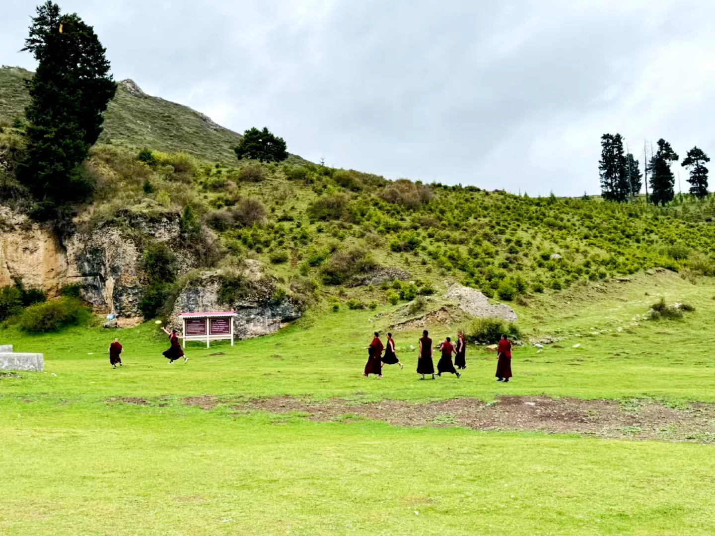 甘南3日游天花板‼️遇到神仙领队小胡