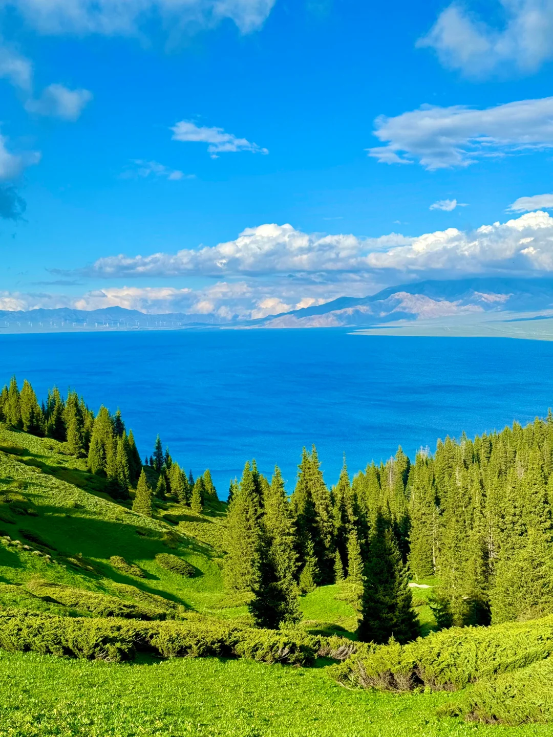 带闺蜜去了22℃的赛里木湖，真比新西兰震撼！