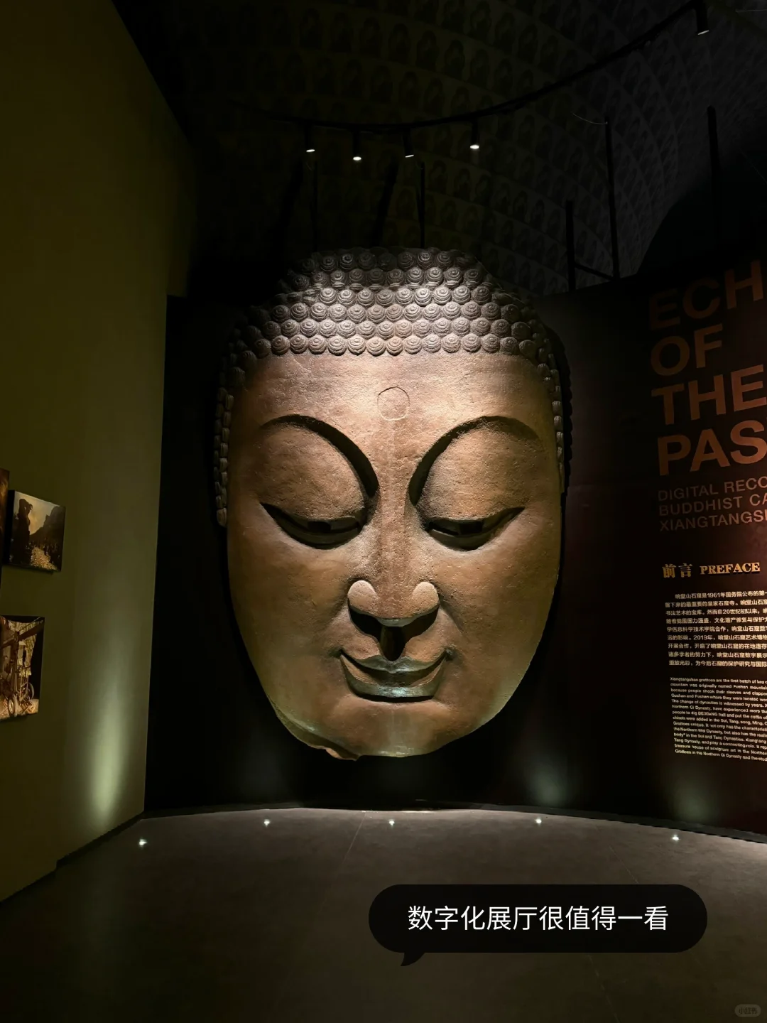 “仿佛看见南北朝的阳光照进现实”