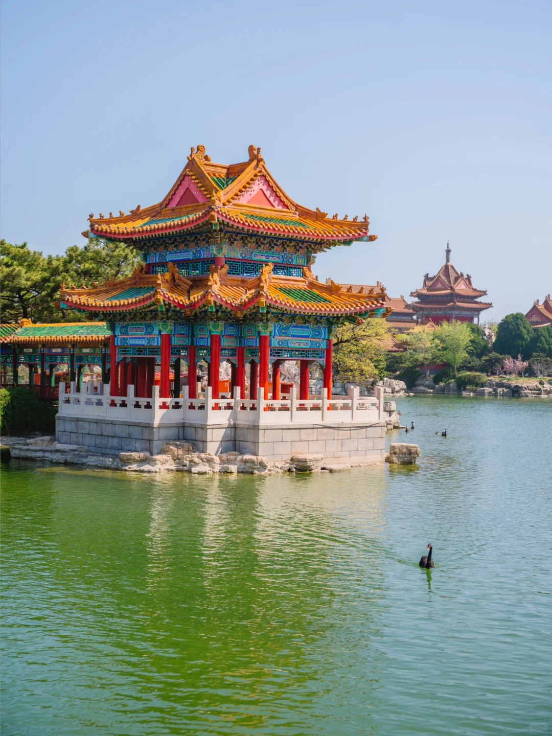 穿越千年，我拍到了白居易笔下的人间仙境☁️