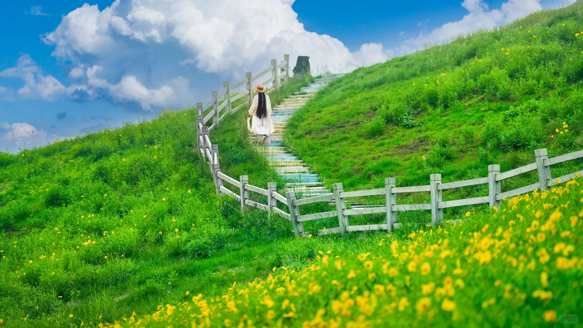 可惜你不来安吉❗️不知道悬崖上的草原多好玩