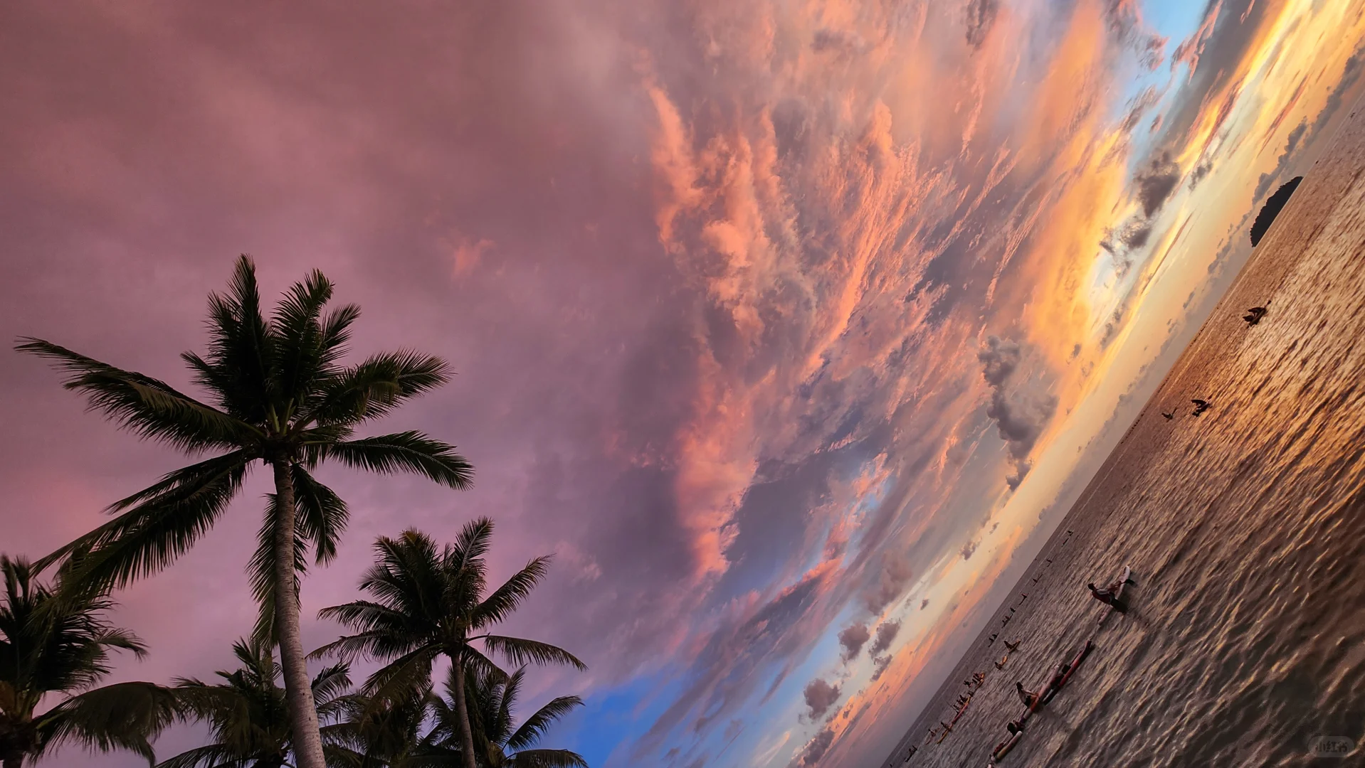 🦁5.5世界三大日落之一亚庇豪赌成功