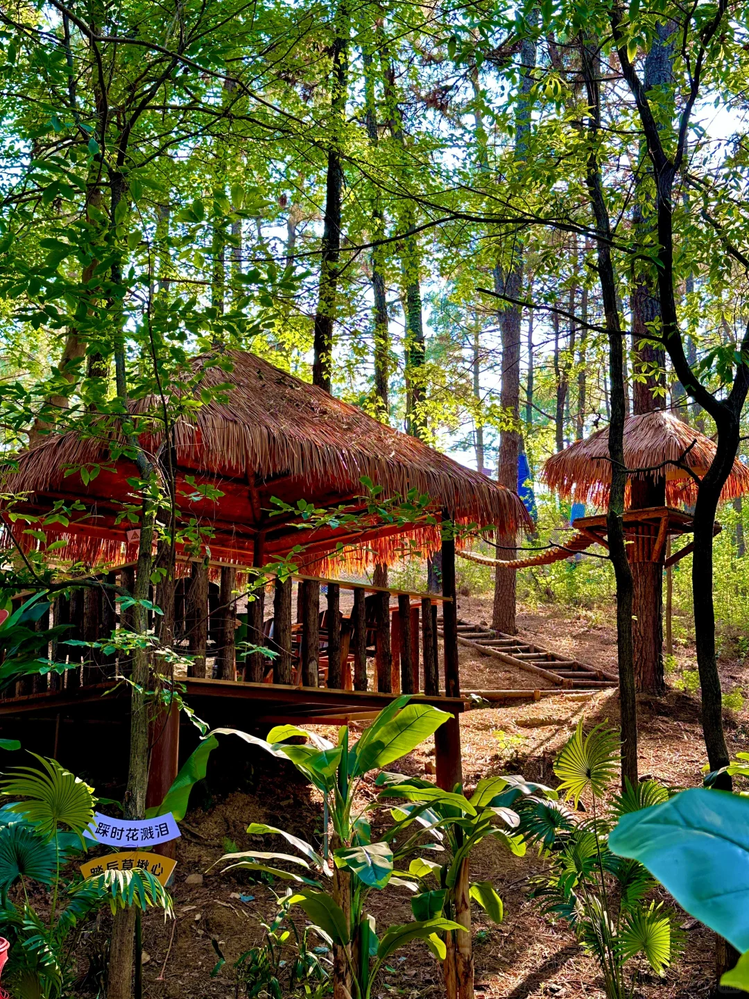 端午节王炸玩法!避开人从众的秘境被找到啦