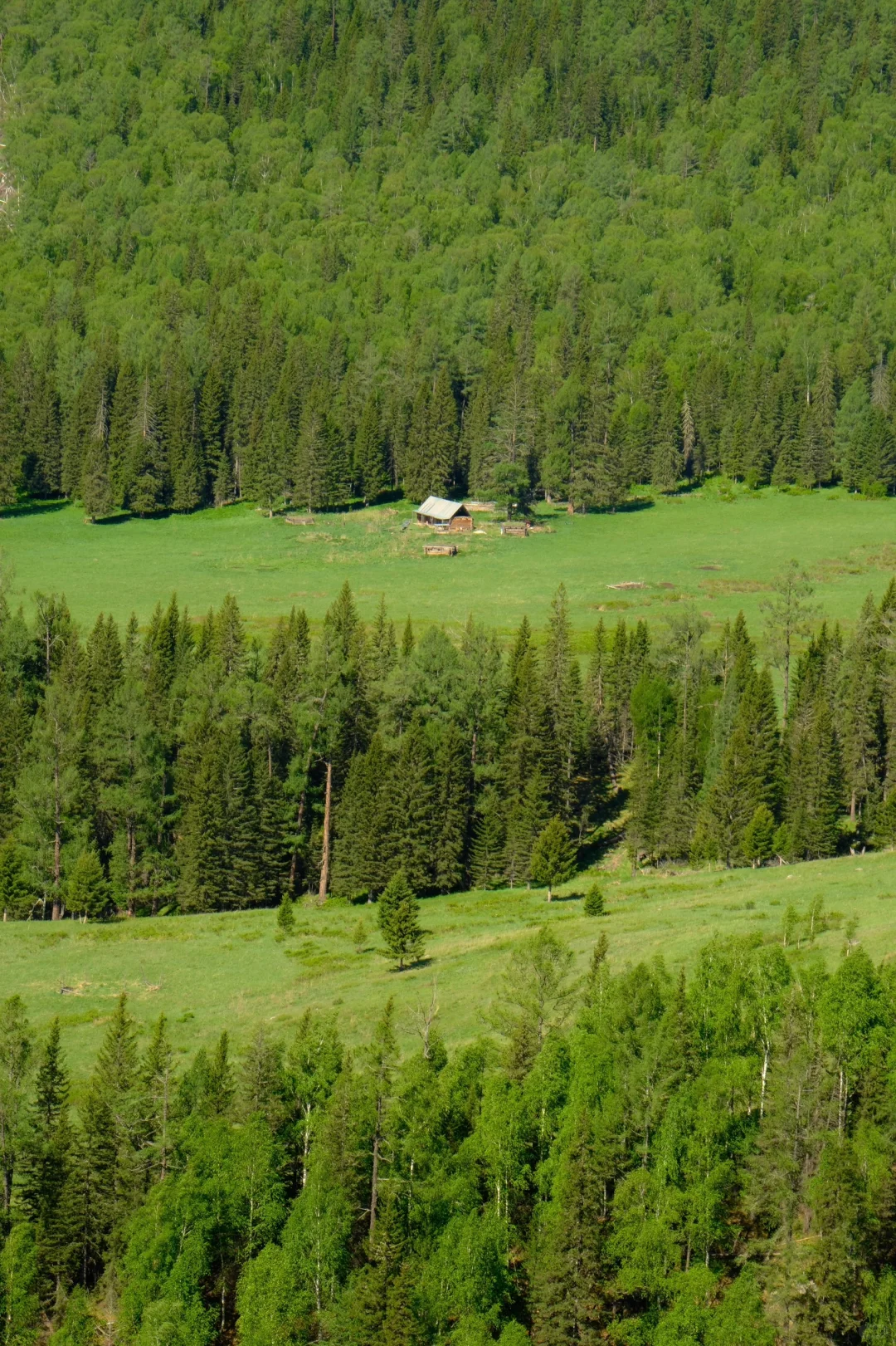 白哈巴喀纳斯禾木三个景区去哪个?