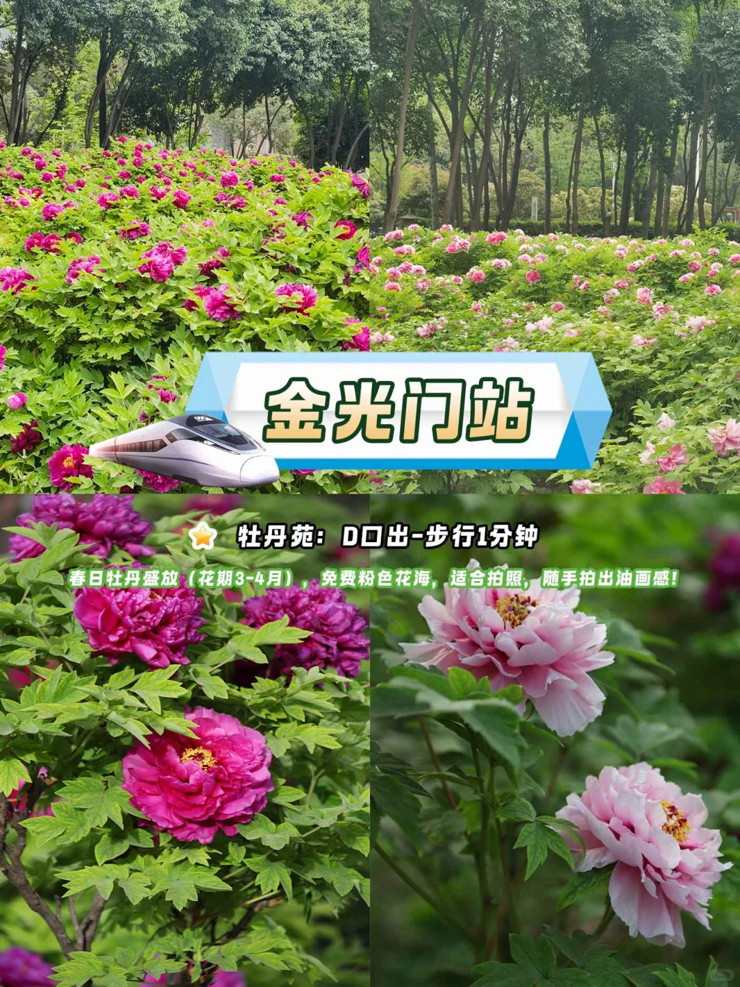 西安8号线环线Citywalk终极指南