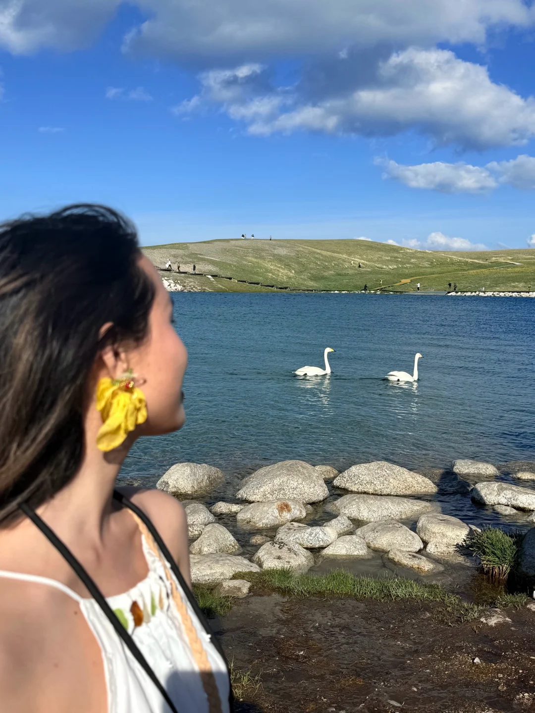 新疆跟团已回,谈谈北疆真实消费!(永不删)