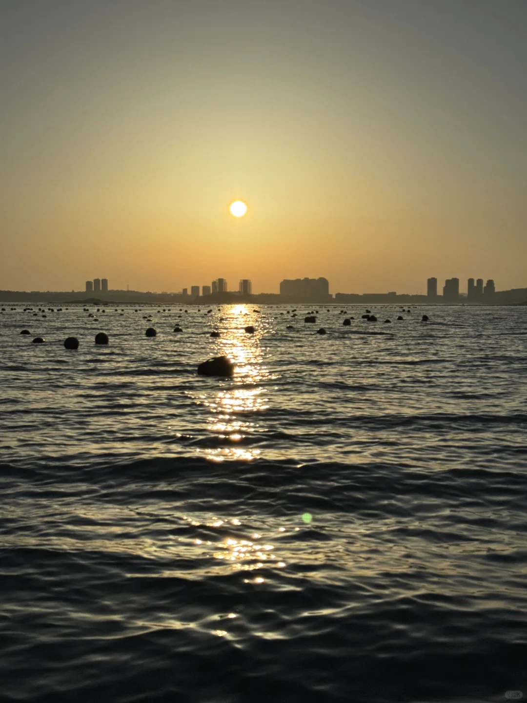 平潭，狗都不…