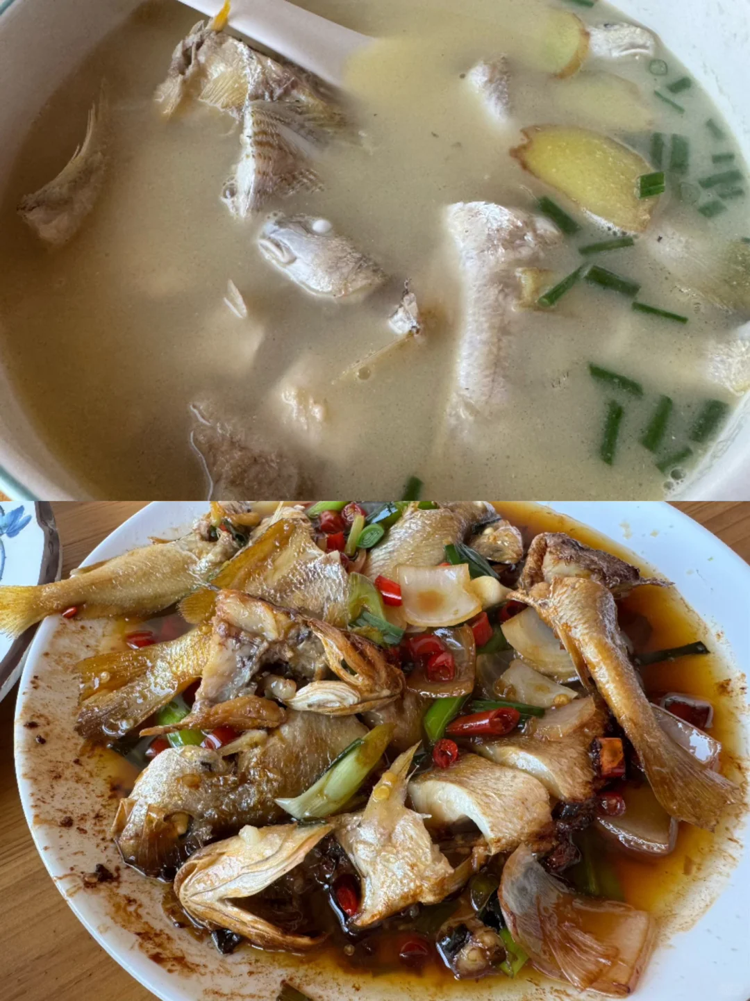 平潭，狗都不…