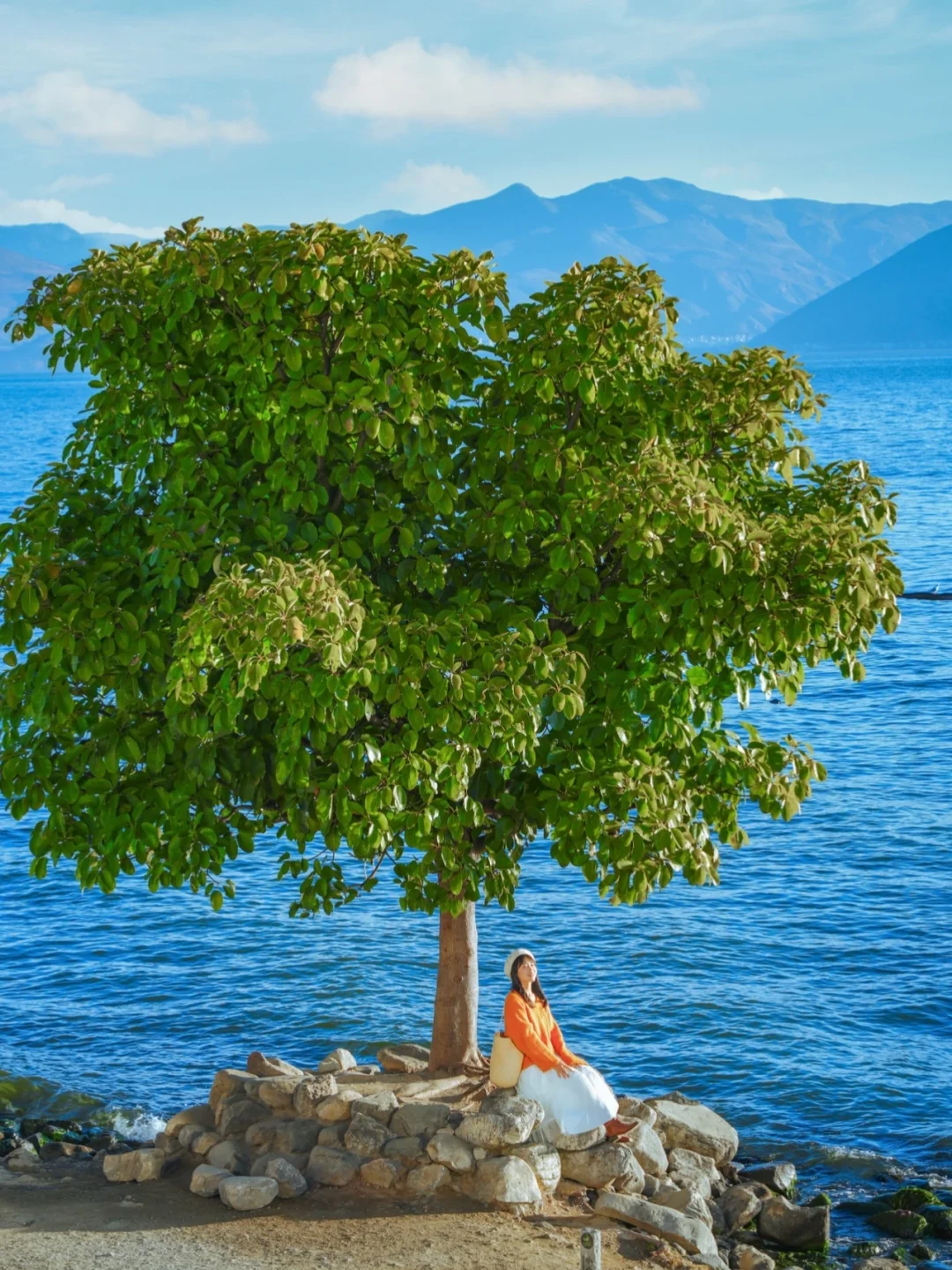 大理已回❗️真心提醒5~6月要去的姐妹们😓