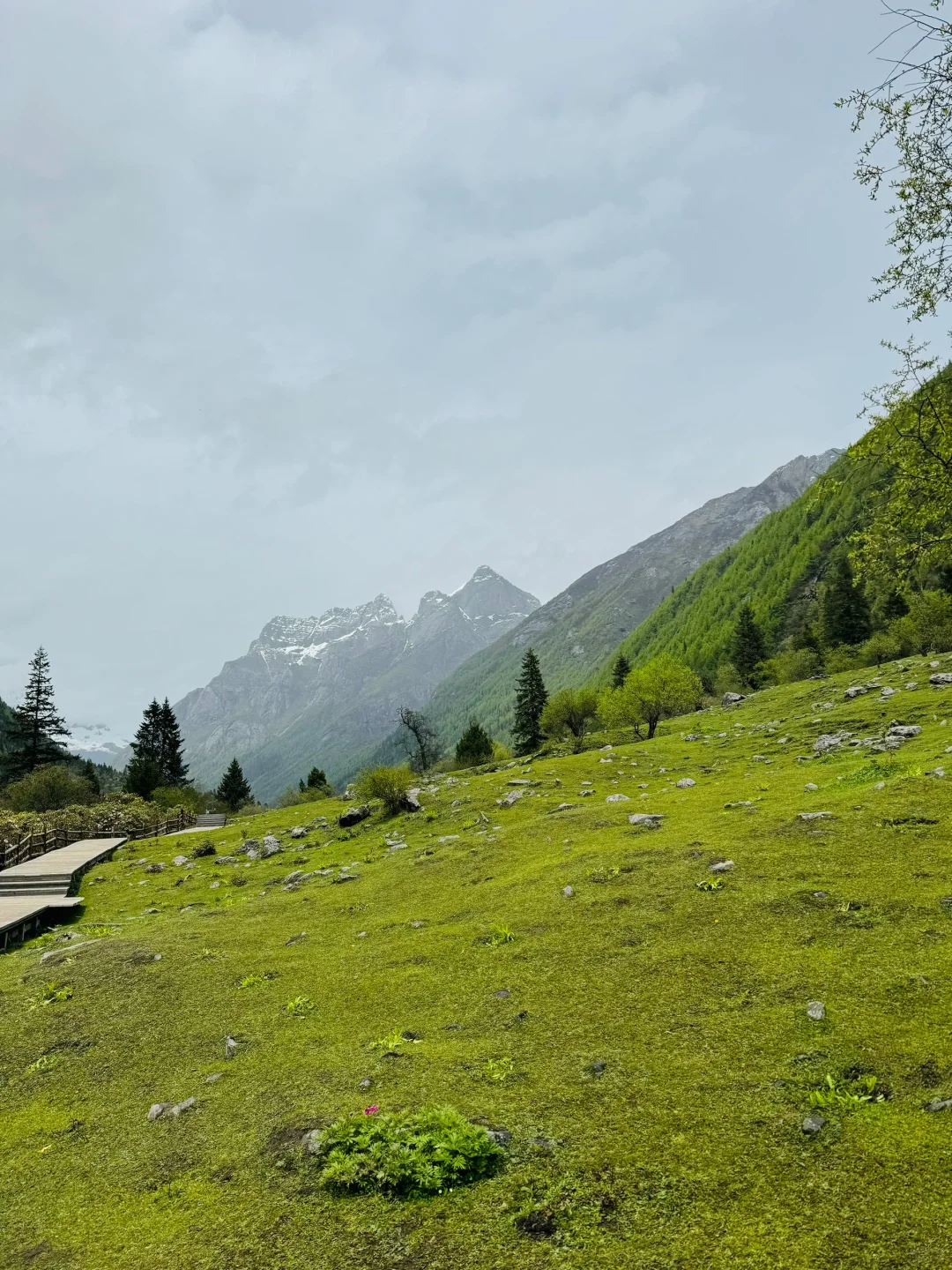 四姑娘山已回,这个季节太美了