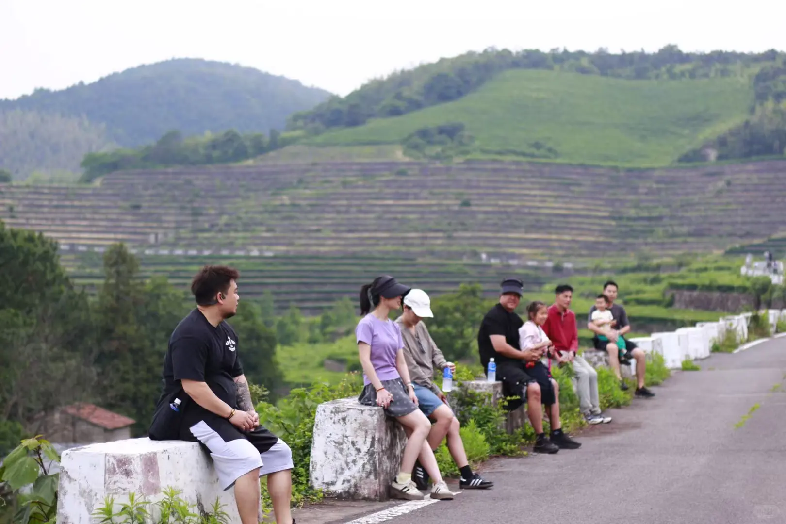 🍃宁波周末亲子徒步🌿第一站 福泉茶山