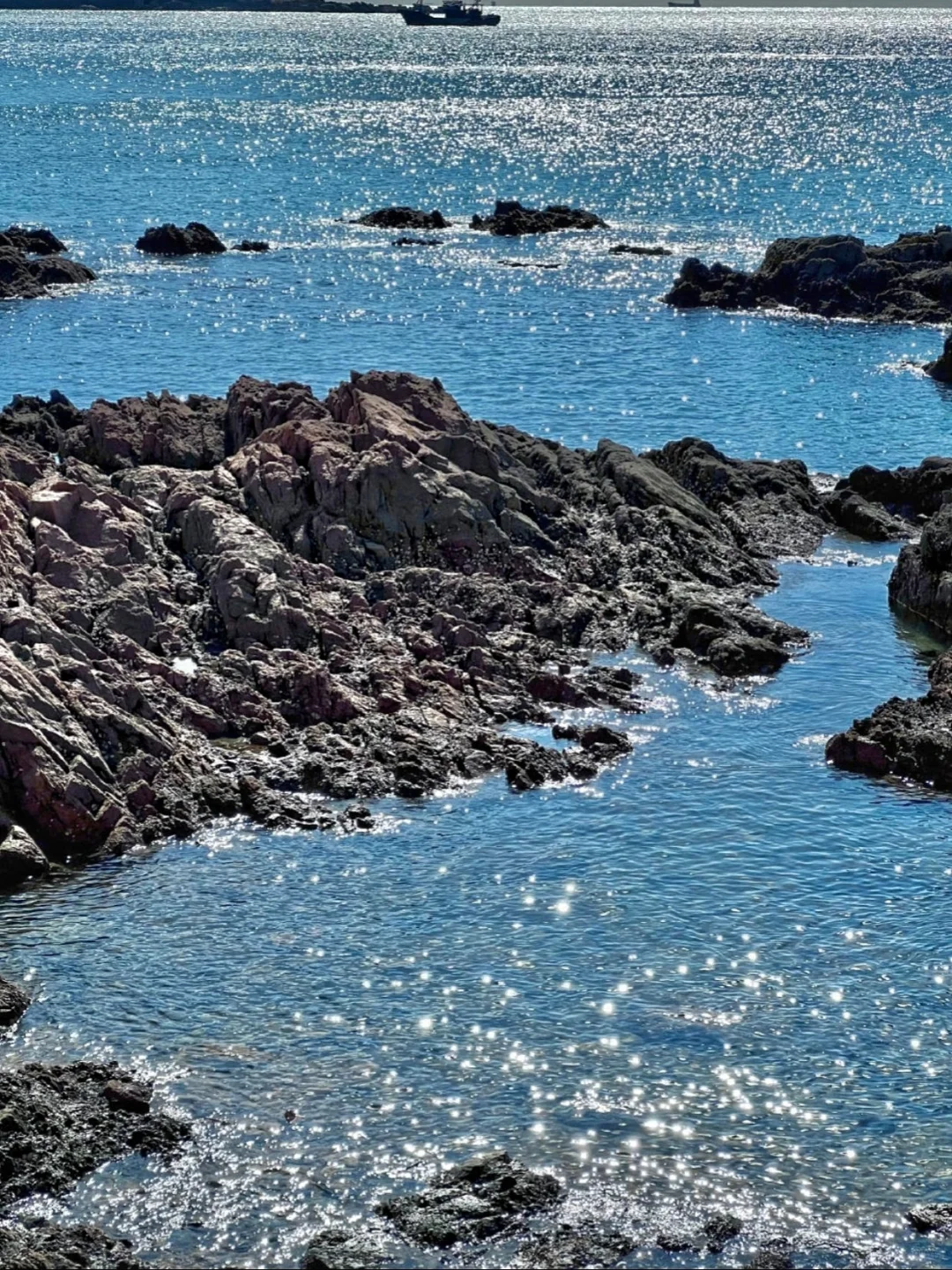 五一到青岛哈啤酒🍺吃蛤蜊🐚