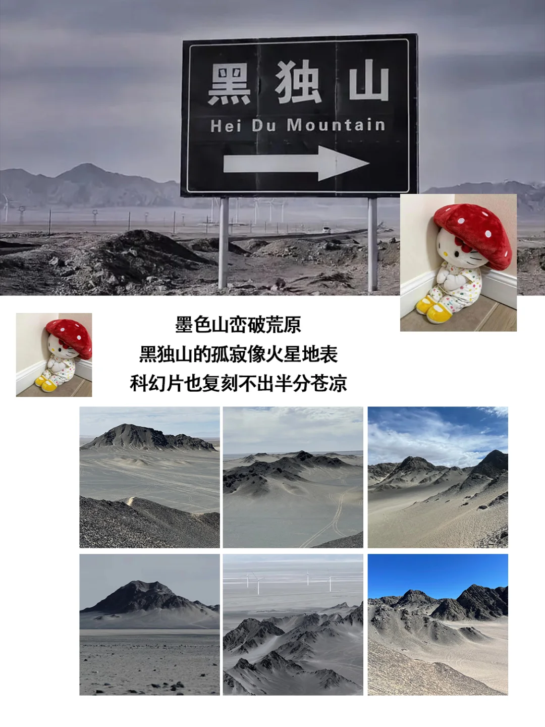 西北📍假期Citywalk 保姆级旅游攻略‼️