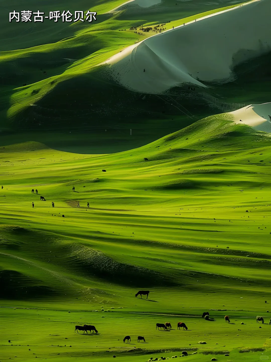 中国必去的十个地方！