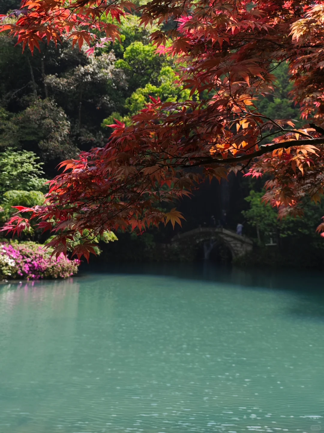 杭州｜五月份的杭州美出了天际
