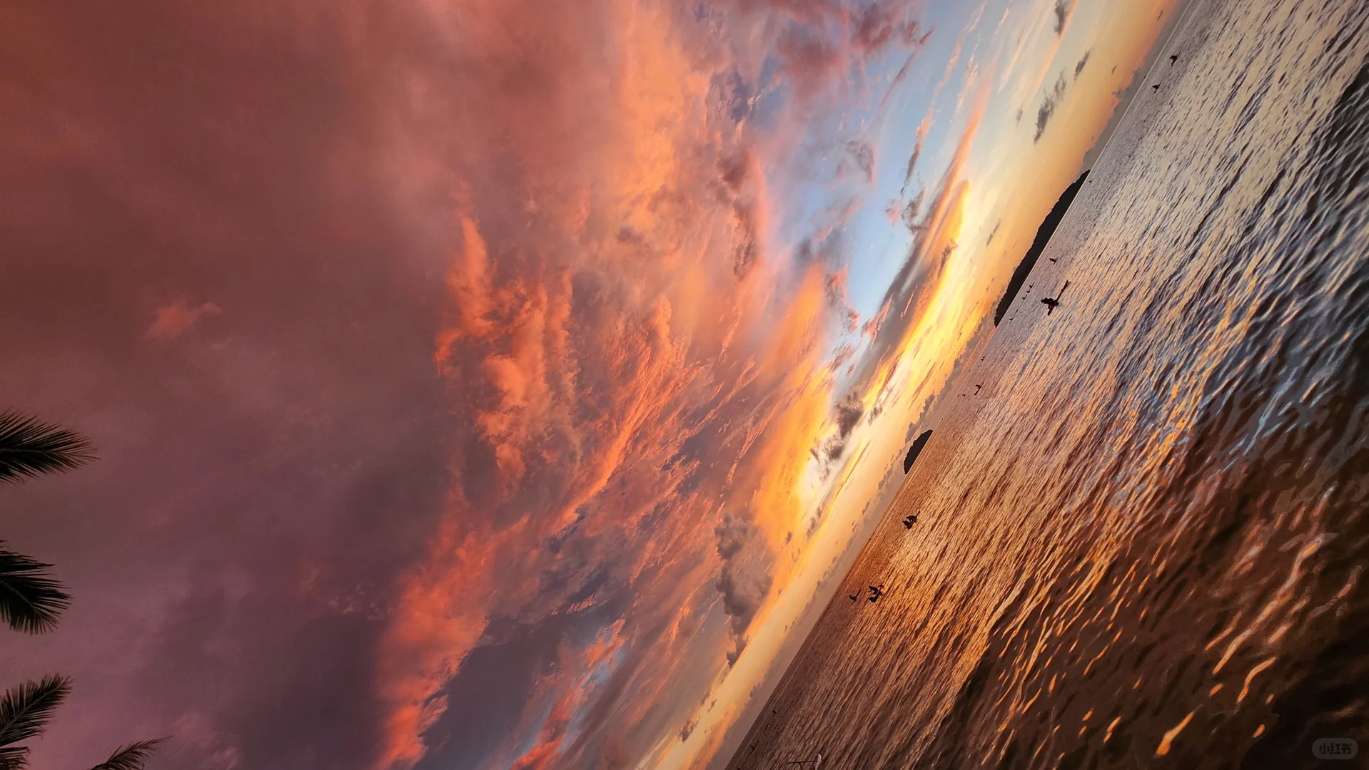 🦁5.5世界三大日落之一亚庇豪赌成功