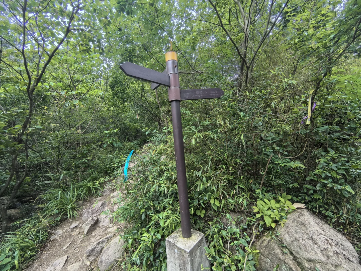 🍃宁波周末亲子徒步🌿第一站 福泉茶山