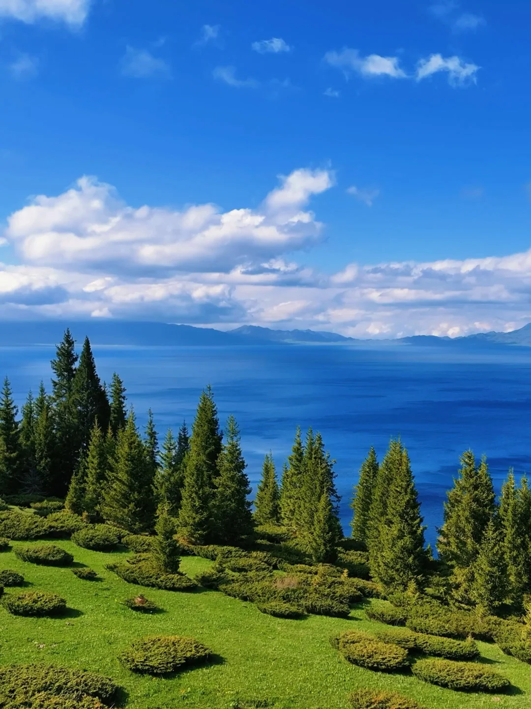 带闺蜜去了22℃的赛里木湖，真比新西兰震撼！