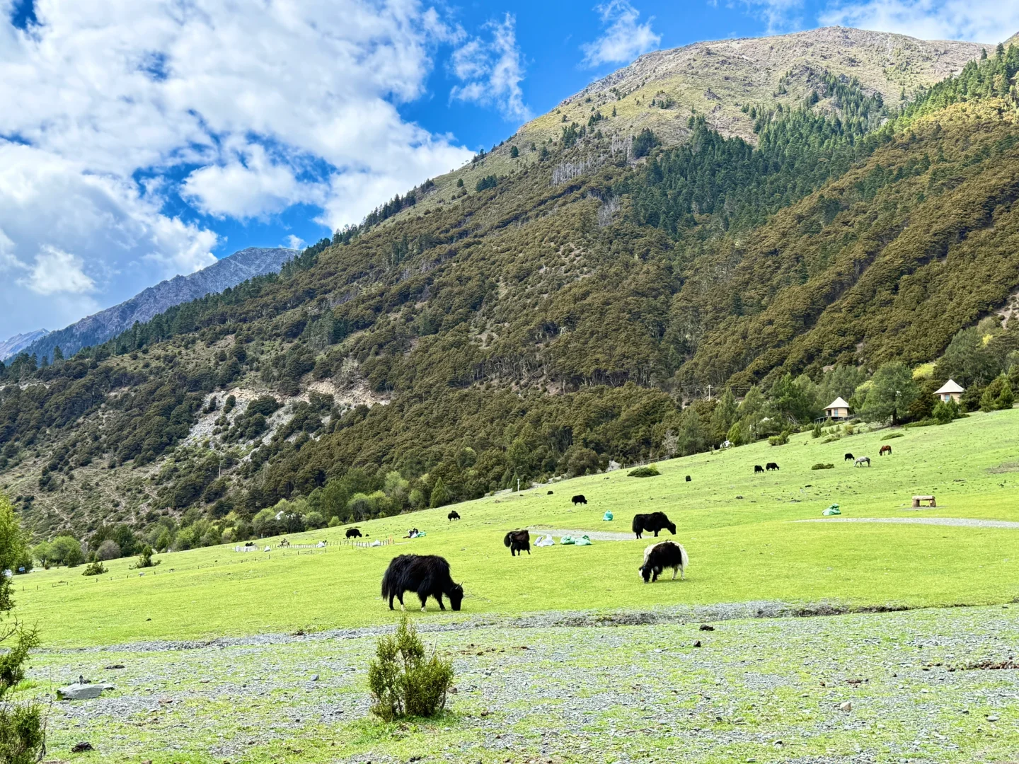 大饱眼福，也可以是旅行的意义。