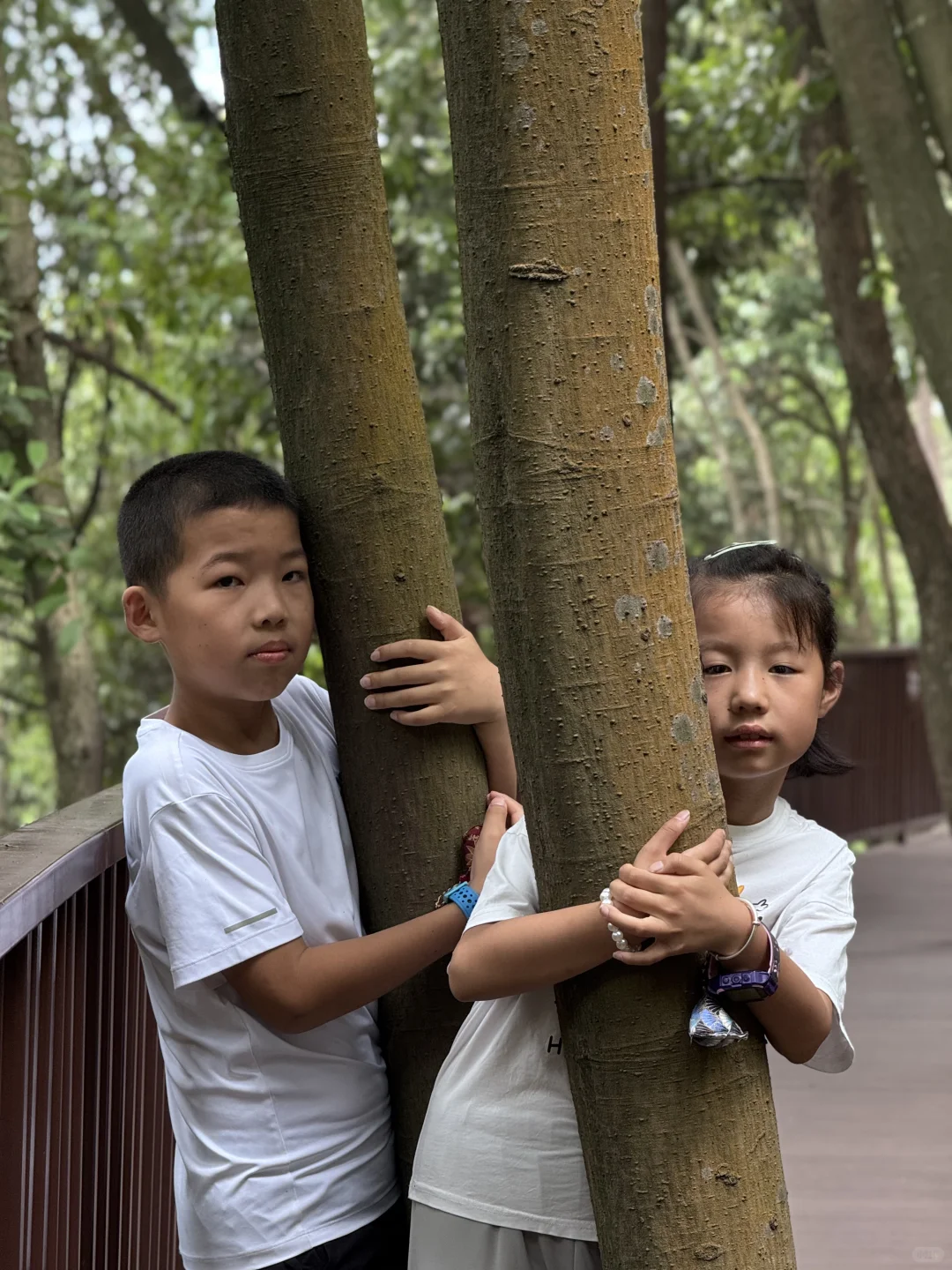 把这条推给所有千岛湖本地人