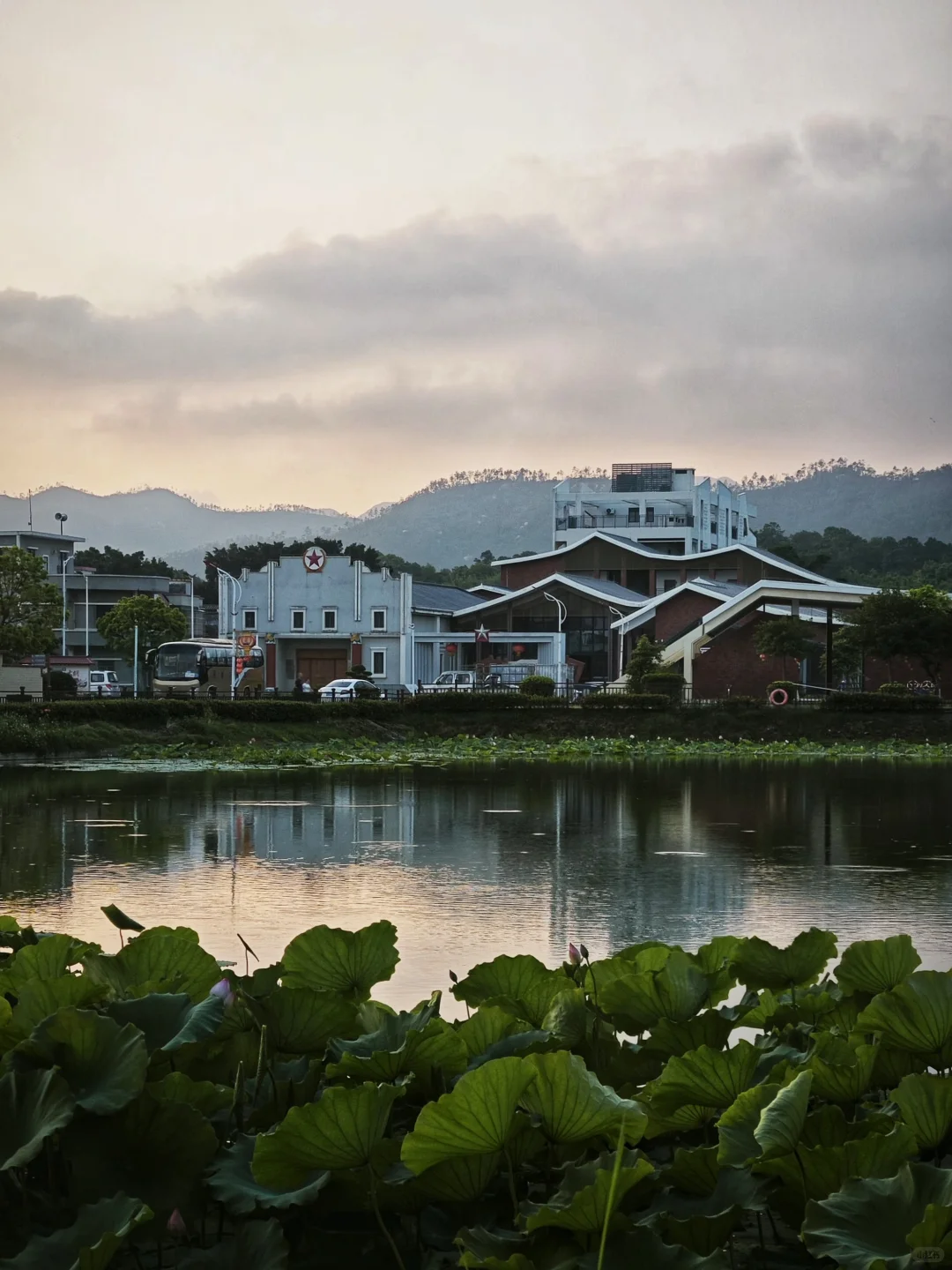 在台山！偶遇一片山、海和稻浪