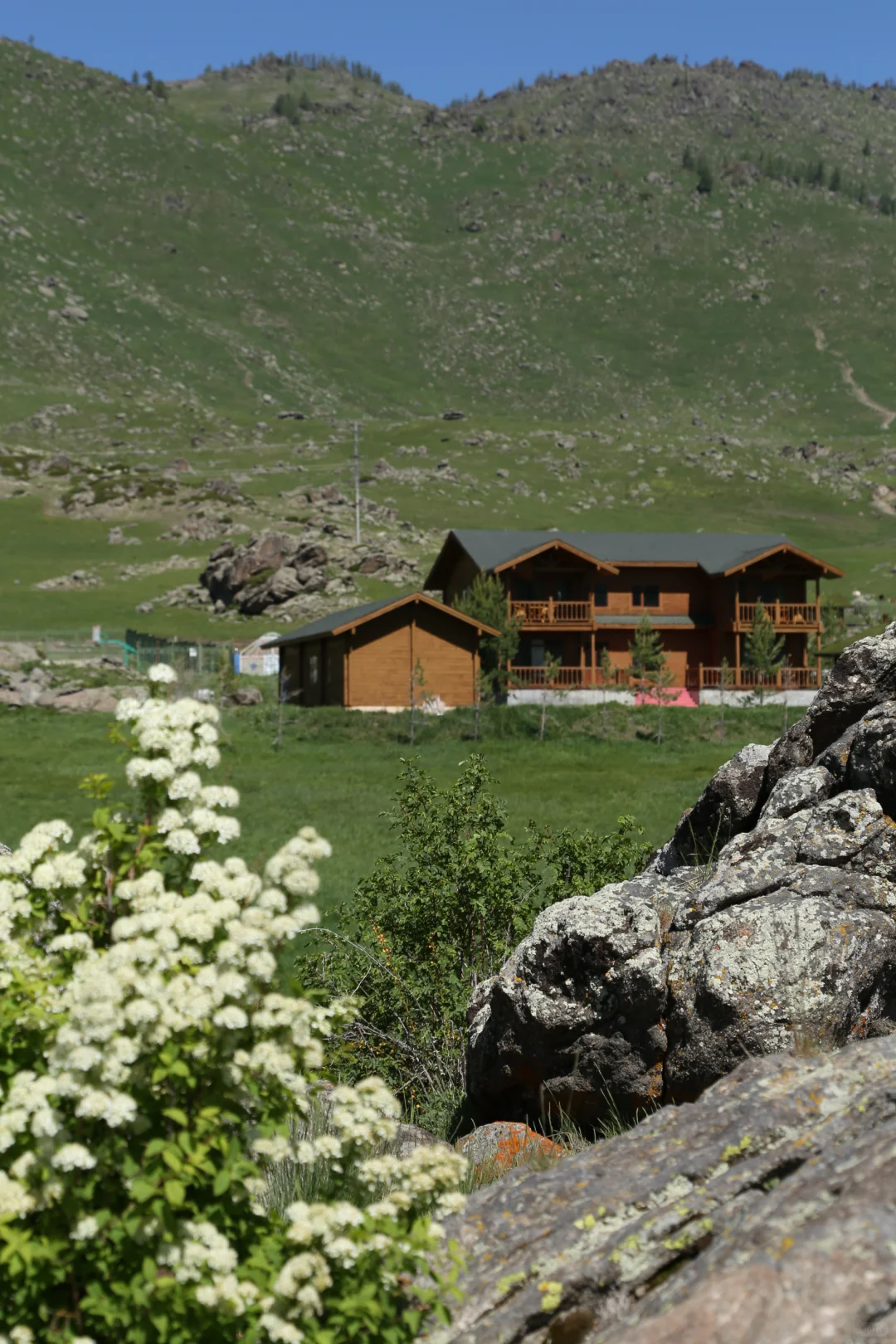 女生一人勇闯新疆旅游已回