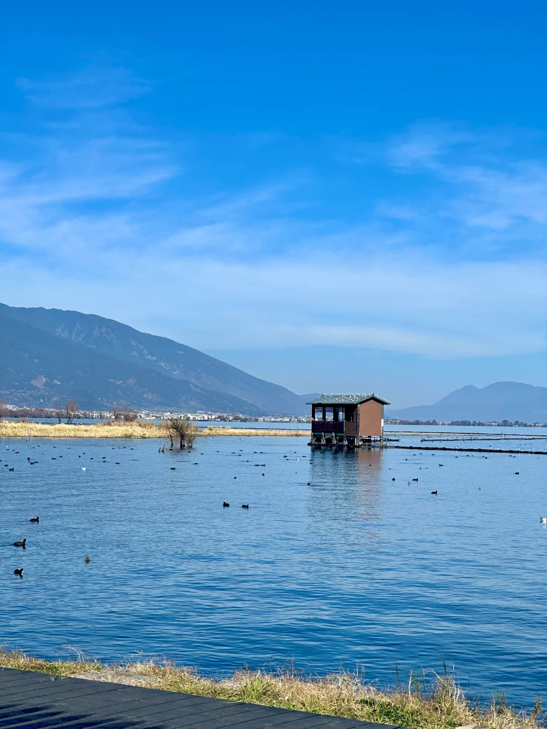 大理已回❗️真心提醒5~6月要去的姐妹们😓