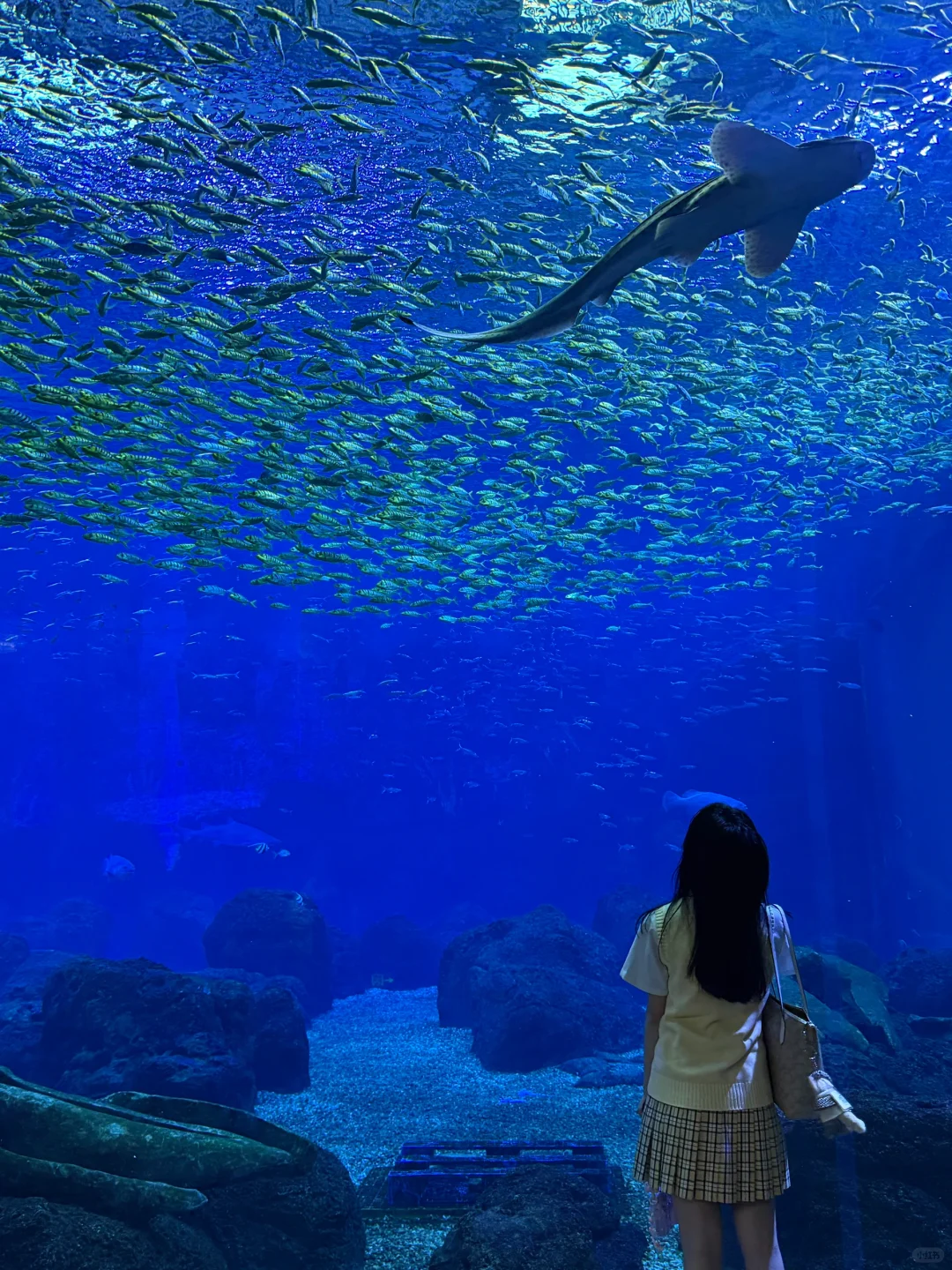 本以为橘子洲很美了，直到我来了这里……🥹