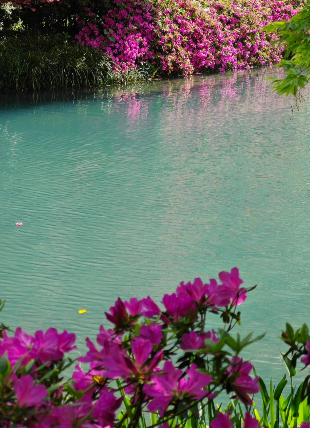 杭州｜五月份的杭州美出了天际