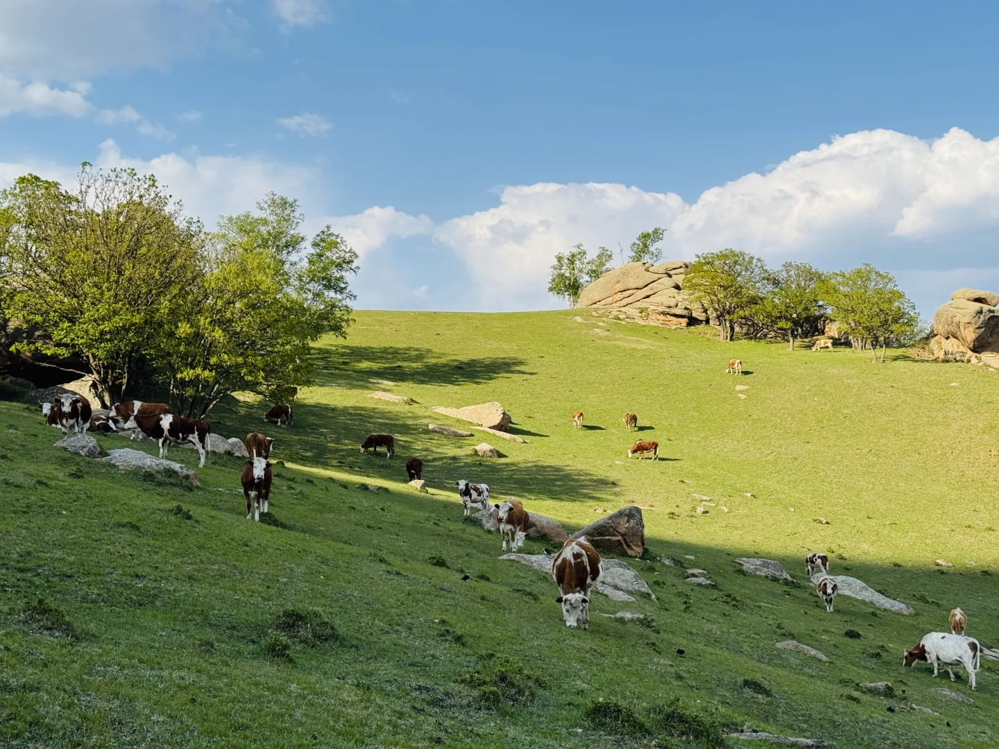 北京出发赤峰大青山两天一晚
