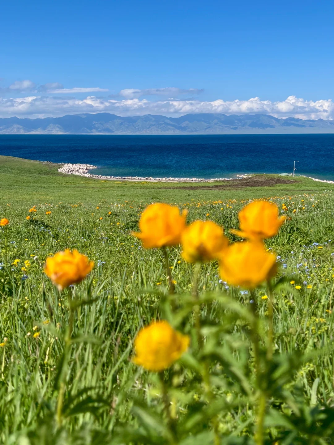 新疆跟团已回,谈谈北疆真实消费!(永不删)