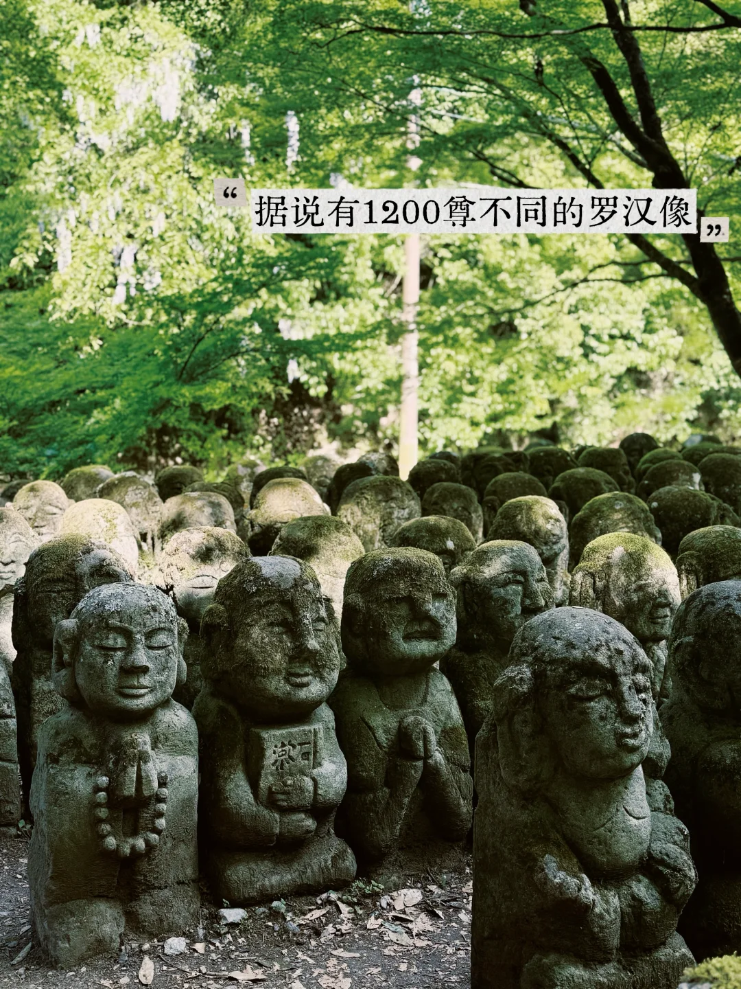 避开人潮！京都初夏绿径，高雄线徒步攻略