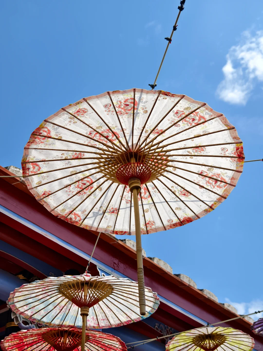 企鵝花絮 - 成美文化園B CUT