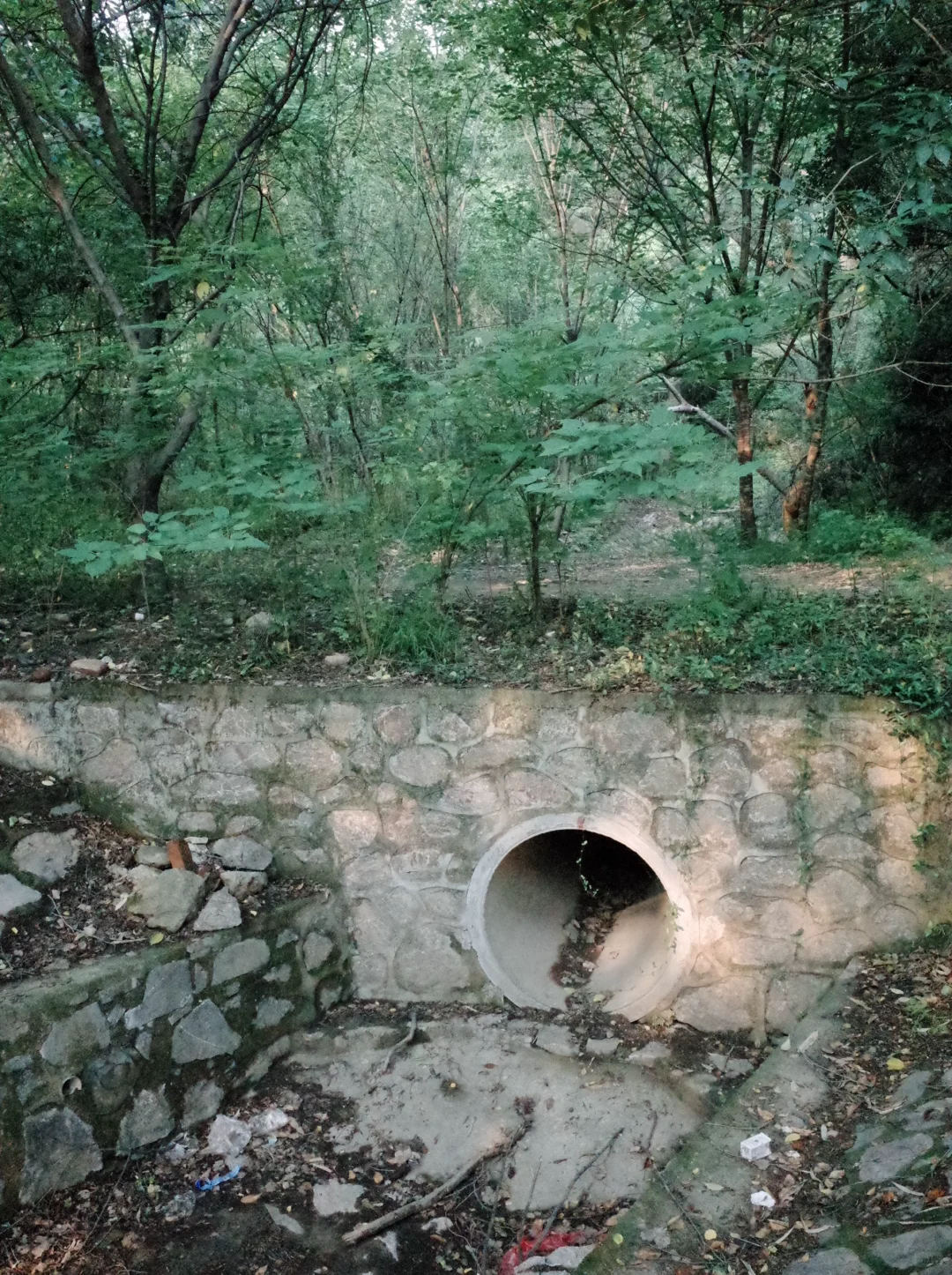南京最喜欢的地方（之一